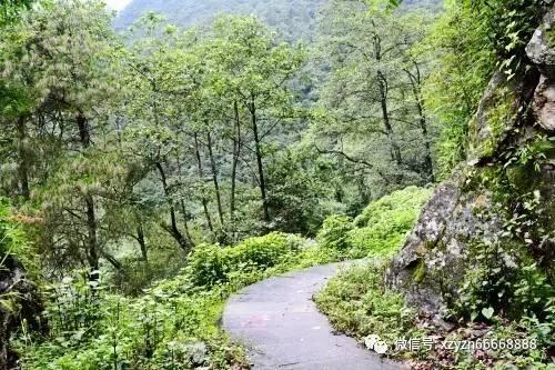 公安部:为贵州定点帮扶两地组建22支校园足球队,培养国家级运动员51人