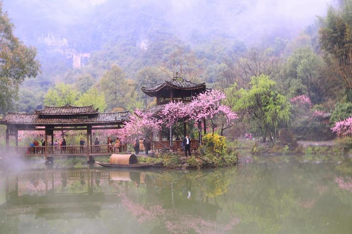 嫌孙俪捐助太少，写6000字诋毁恩人的白眼狼学生，现惩罚来了